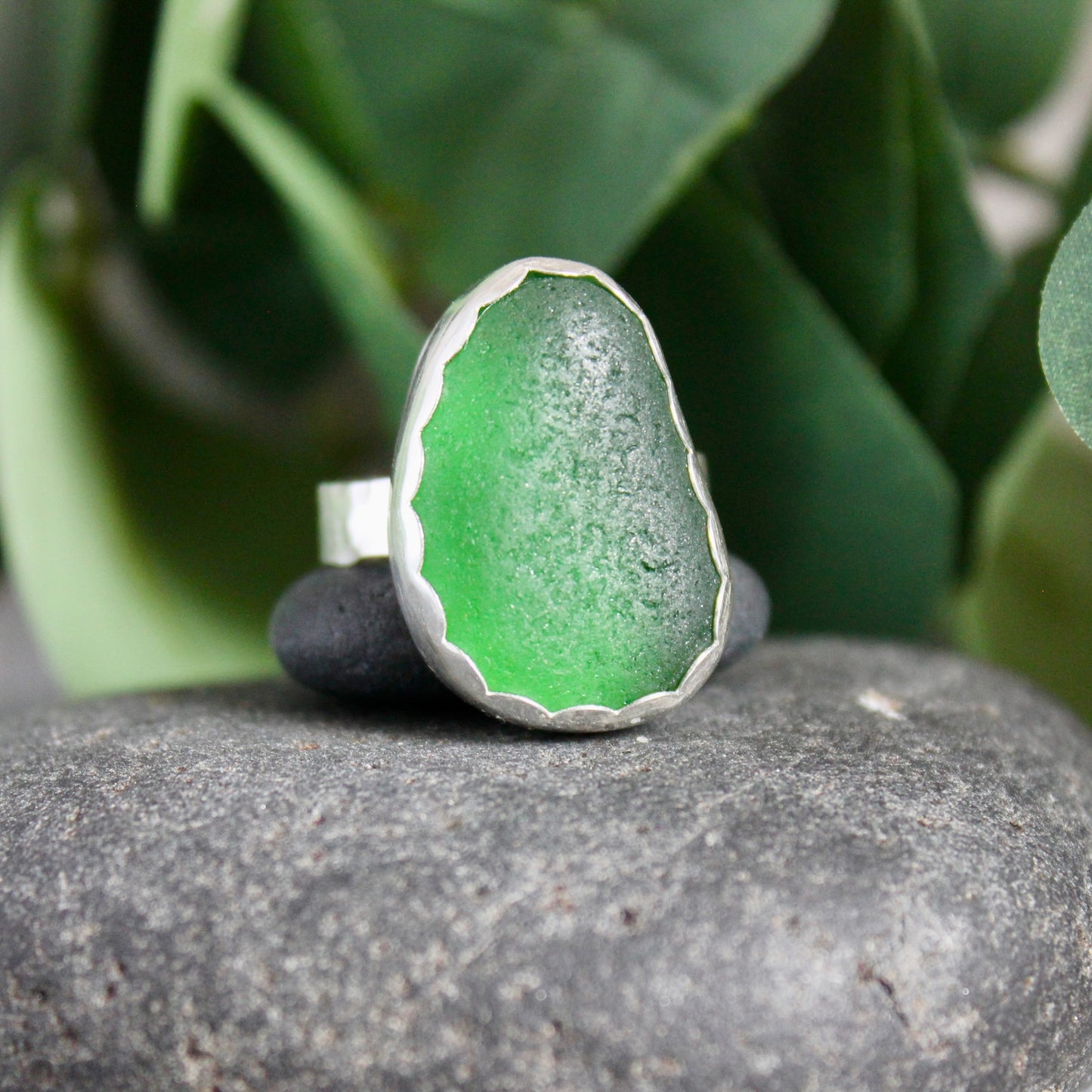 This is a large chunky piece of European dark emerald green sea glass that is set in a fine & sterling silver scalloped bezel setting and on a sturdy silver band. Size 10 1/2
