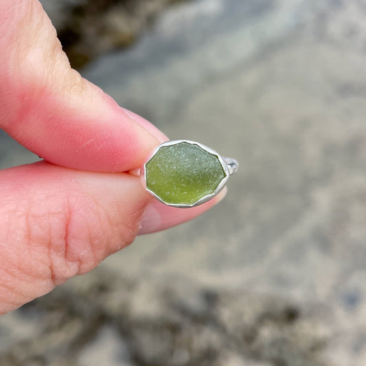 This is a oval piece of olive green sea glass set in a fine and sterling silver scalloped bezel setting on a sturdy hammered band.  Size 7