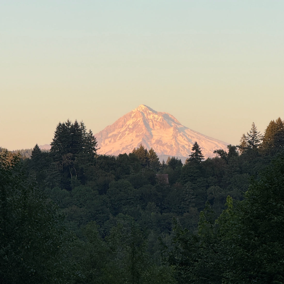 View of Mt. Hood from our VRBO rental in Sandy, Oregon