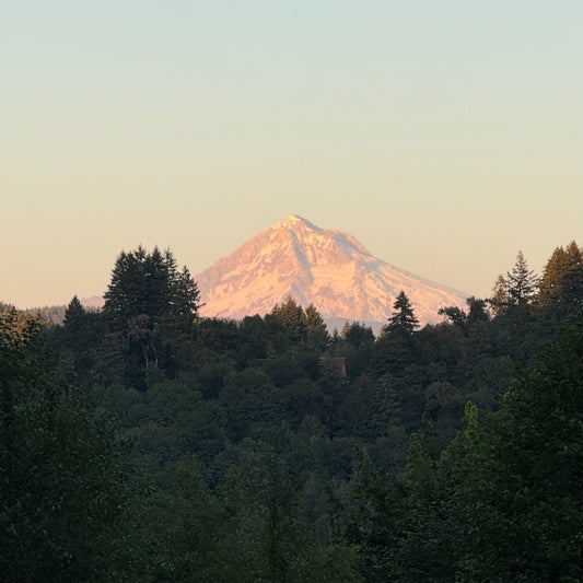 View of Mt. Hood from our VRBO rental in Sandy, Oregon