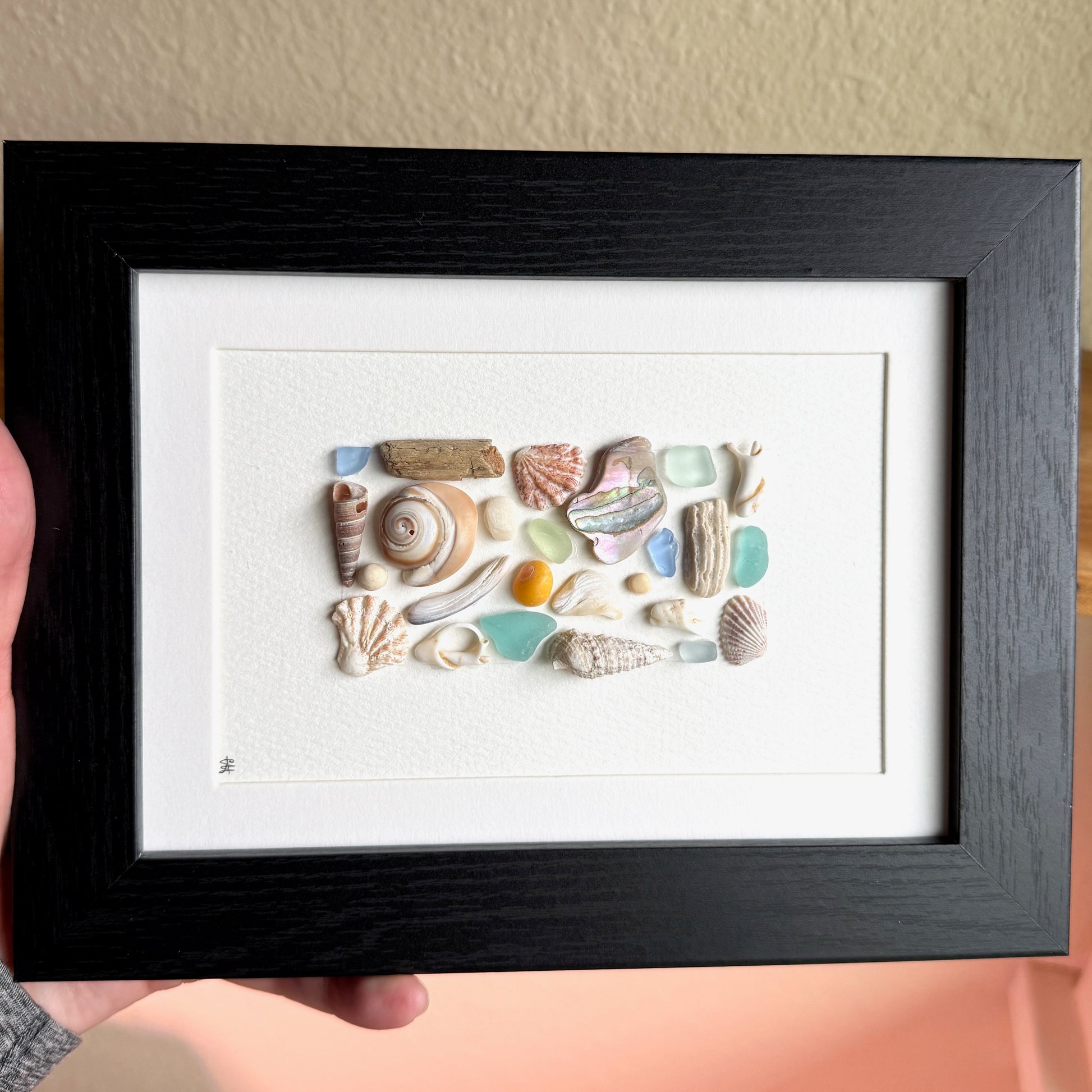 Framed artwork with assorted shells on a white background