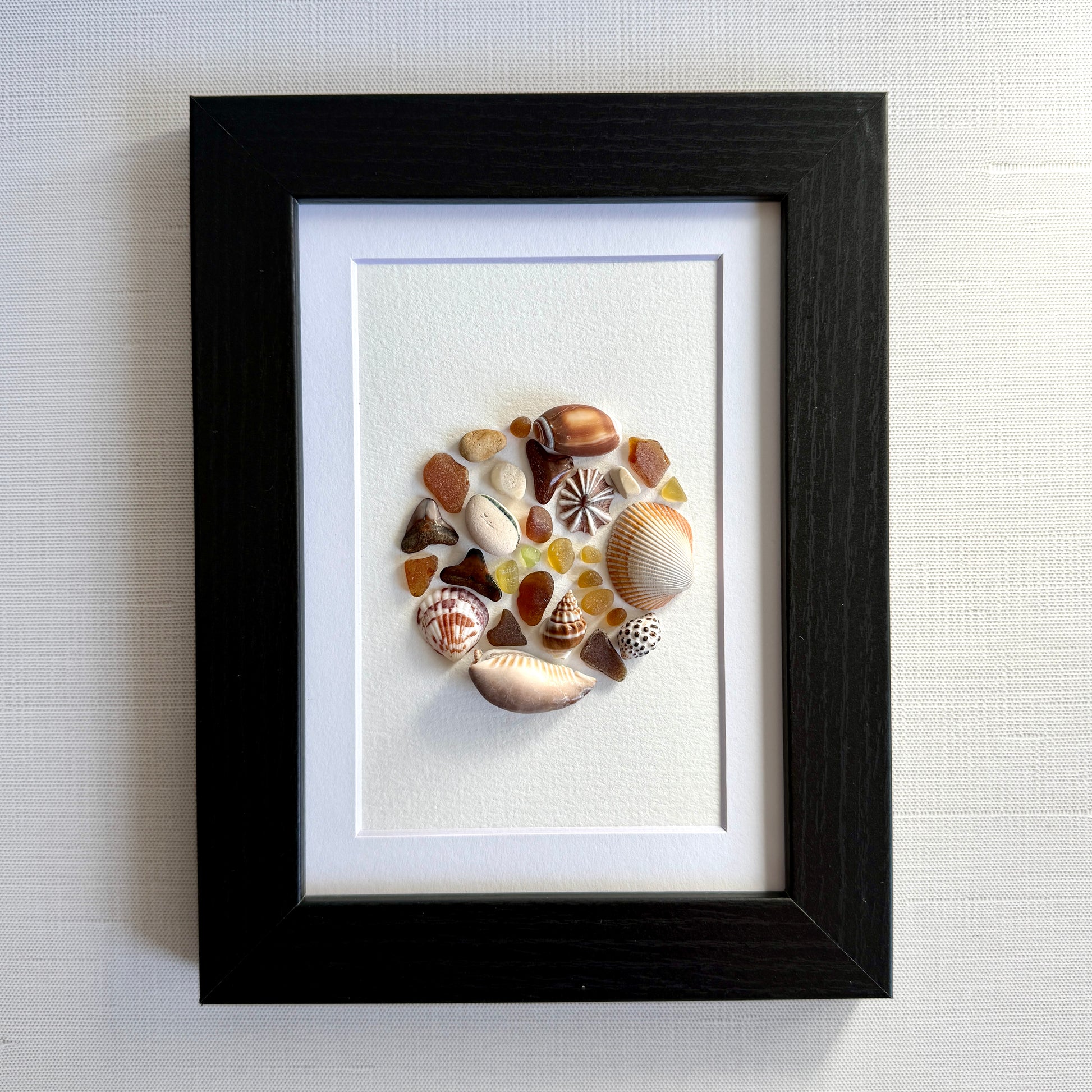 Framed artwork of seashells on a white background