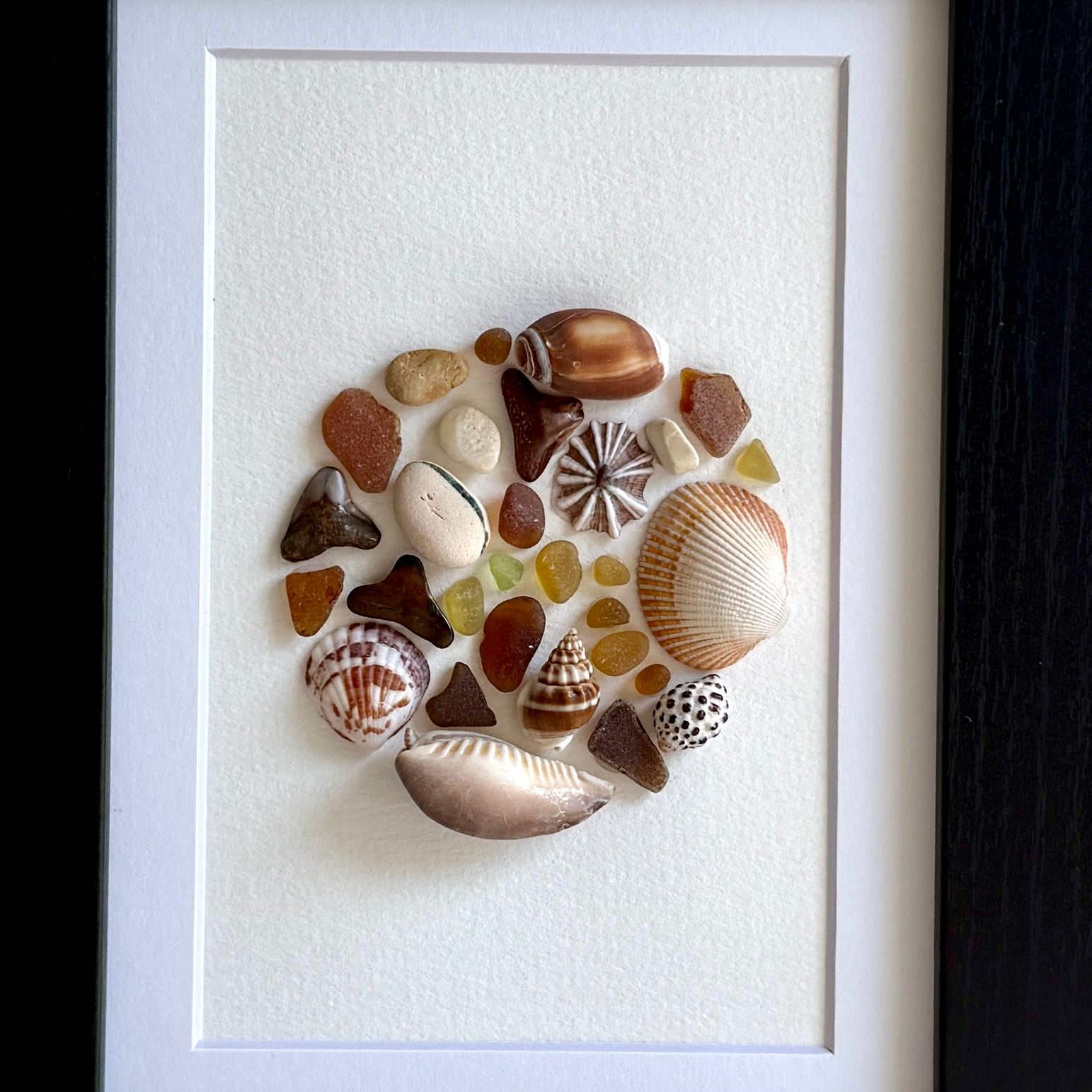 Framed artwork made of various shells on a white background