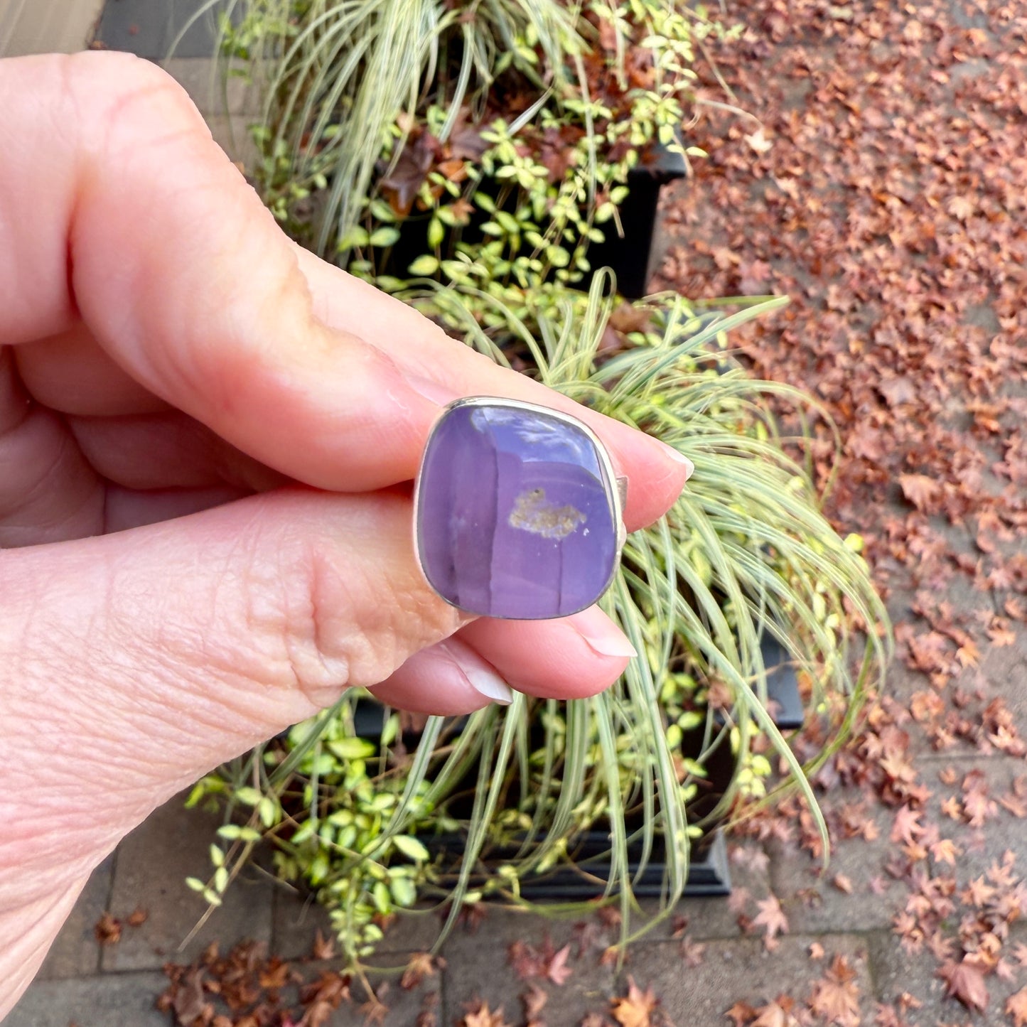 Hand holding a purple stone with a plant in the background