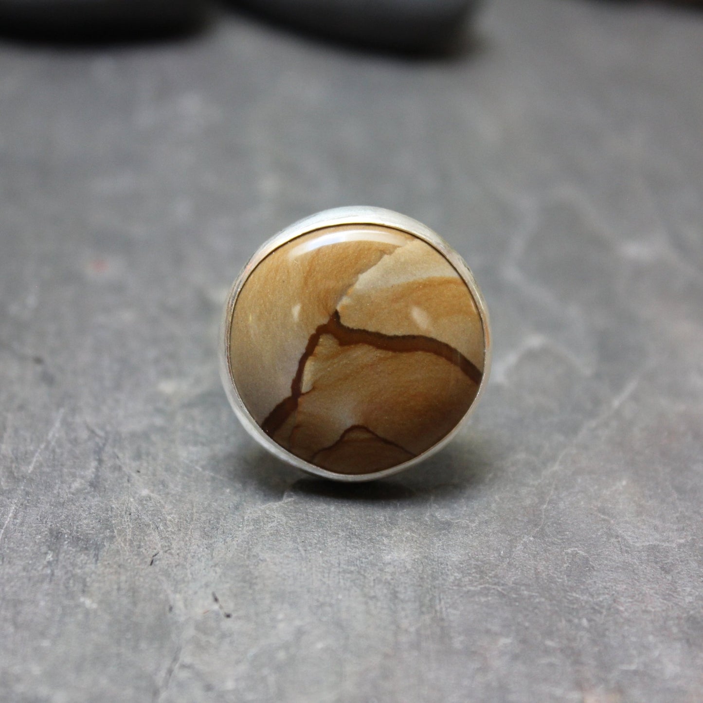 Owyhee Picture Jasper Statement Ring - AccentYourself